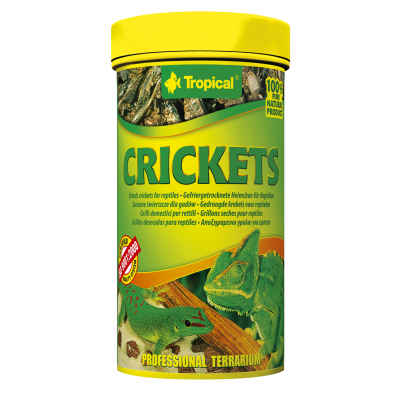 Tropical Crickets 250 ml - MHD 05/25