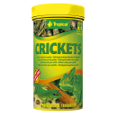 B-Ware | Tropical Crickets 250 ml - MHD 05/25