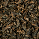 B-Ware | Tropical Crickets 250 ml - MHD 05/25