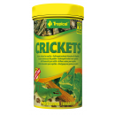 Tropical Crickets 250 ml - MHD 05/25