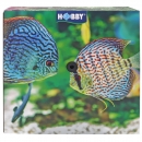 Hobby PVC-Luftschlauch 4/6 mm - 200 m