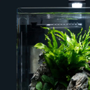 Dennerle Corner Filter 40
