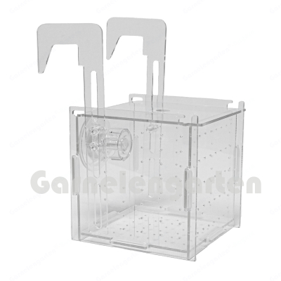 Breeding Box | 10  x 10  x 10 