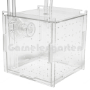 Breeding Box | 10  x 10  x 10 