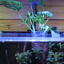 Hobby Pflanzkorb