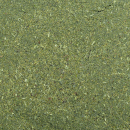 Dennerle Shrimp King Atyopsis