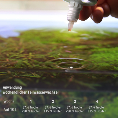 Dennerle Plant System Set Nano | Dngesystem - Garnelengarten