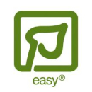 Schismatoglottis prietoi | In-Vitro B-Ware