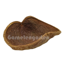 Xixa Schote | Sterculia chicha