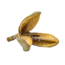 B-Ware | Pinar Schote | Qualea grandiflora