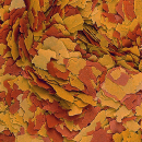 B-Ware | Tropical Vitality & Color Flockenfutter 250 ml | 04/26