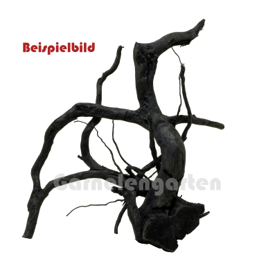 Black Moorwurzel - Spiderwood M/L - ohne Auswahl