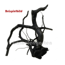 Black Moorwurzel - Spiderwood M/L - ohne Auswahl