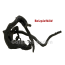 Black Moorwurzel - Spiderwood S - ohne Auswahl