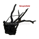 Black Moorwurzel - Spiderwood S - ohne Auswahl