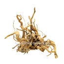 Moorwurzel L | Selected Edition MW-1 | Einzelstück