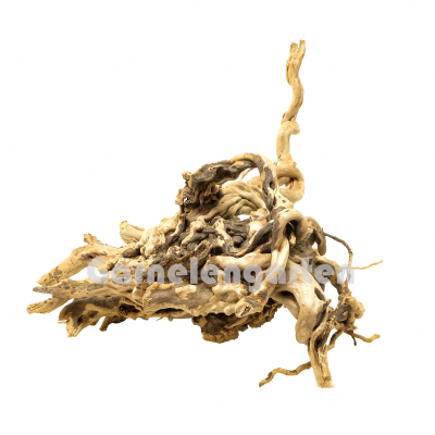 Moorwurzel L | Selected Edition MW-3 | Einzelstück