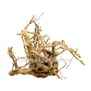 Moorwurzel L | Selected Edition MW-4 | Einzelstück