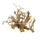 Moorwurzel L | Selected Edition MW-4 | Einzelstück