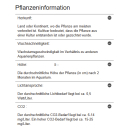 Lysimachia parvifolia ‘Red’ - Kleinblättriger Gilbweiderich | In-Vitro