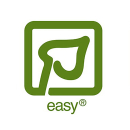 Lysimachia parvifolia ‘Red’ - Kleinblättriger Gilbweiderich | In-Vitro