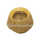 Sapucaia XL - Paradiesnuss