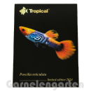 Gratisgeschenk | Magnetsticker Guppy