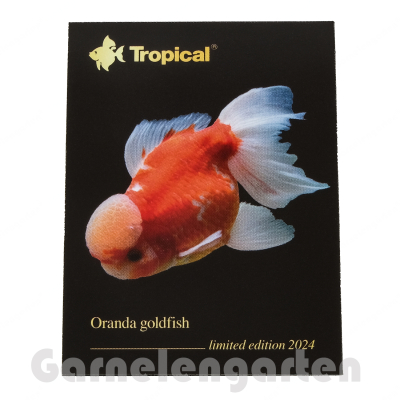 Gratisgeschenk | Magnetsticker Oranda Goldfisch