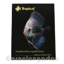 Gratisgeschenk | Magnetsticker Discus
