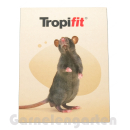 Gratisgeschenk | Magnetsticker Ratte