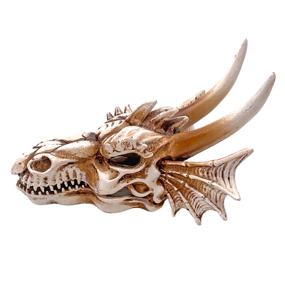 Hobby Dragon Skull S | 12,5 × 9 × 8,5 cm