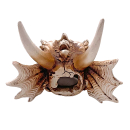 Hobby Dragon Skull S | 12,5 × 9 × 8,5 cm