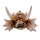 Hobby Dragon Skull M | 19,5 × 14,5 × 13,5 cm