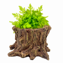 Hobby Wildwood Stump | 15 × 14,5 × 9 cm