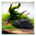 Hobby River Rock 1 | 10 × 9,5 × 6,5 cm