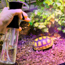 Hobby AtomiZZZer | Pumpzerstäuber