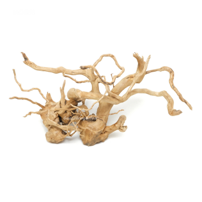 Spiderwood Large/XL - ohne Auswahl