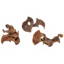 Garnelengarten® Curly Pods - 20 Gramm