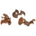 Garnelengarten® Curly Pods