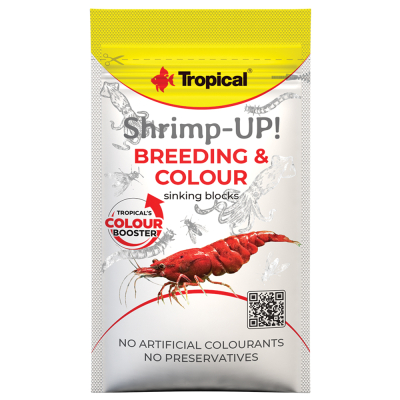 Tropical Shrimp-UP! Breeding & Colour