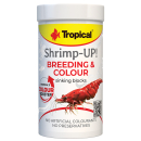 Tropical Shrimp-UP! Breeding & Colour
