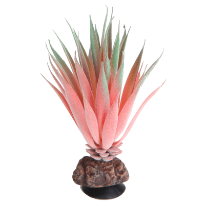 Hobby Terra Succulent 1