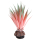 Hobby Terra Succulent 1