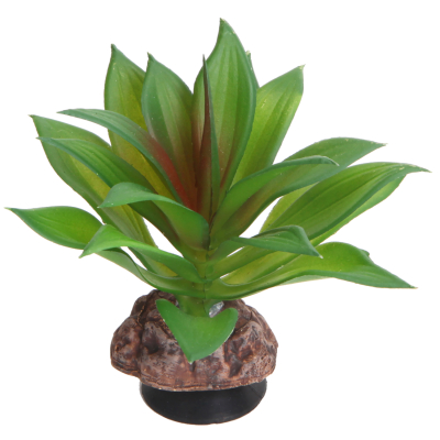 Hobby Terra Succulent 2