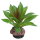 Hobby Terra Succulent 2