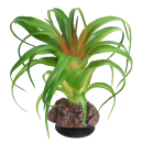 Hobby Terra Succulent 3