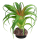 Hobby Terra Succulent 3