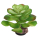 Hobby Terra Succulent 4
