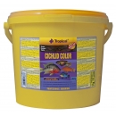 Tropical Cichlid Color Flockenfutter 100 ml