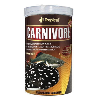 Tropical Carnivore